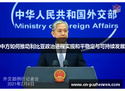 中方如何推动利比亚政治进程实现和平稳定与可持续发展