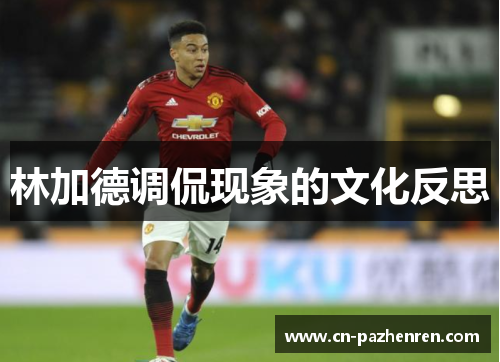 林加德调侃现象的文化反思