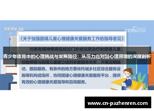 青少年体育中的心理挑战与发展路径：从压力应对到心理困境的深度剖析